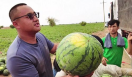 718吃瓜网官网传送,带你领略网络娱乐新风向