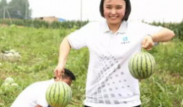 61cg吃瓜群众网,揭秘娱乐圈最新热点，带你领略幕后故事