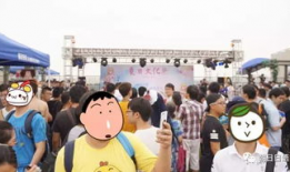 朝阳网吃瓜群众事件,网络舆论场上的风波与反思